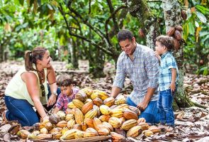 chocolates in santo domingo Kahkow Experience