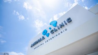 animales gratis santo domingo Animal Clinic Hospital Veterinario