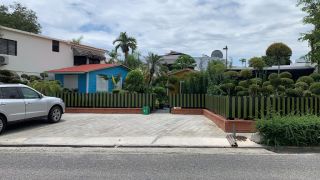 plant shops in santo domingo Plantitos Garden and Landscape