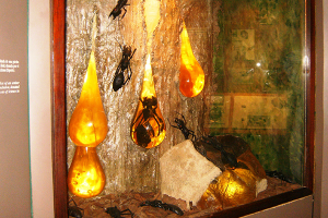 tiendas de minerales en santo domingo Museo de Ámbar
