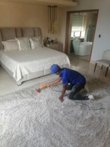 pulir parquet santo domingo Cleaner Dominicana