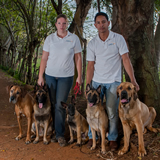 adiestramiento santo domingo Centro de Adiestramiento Canino Molinak9